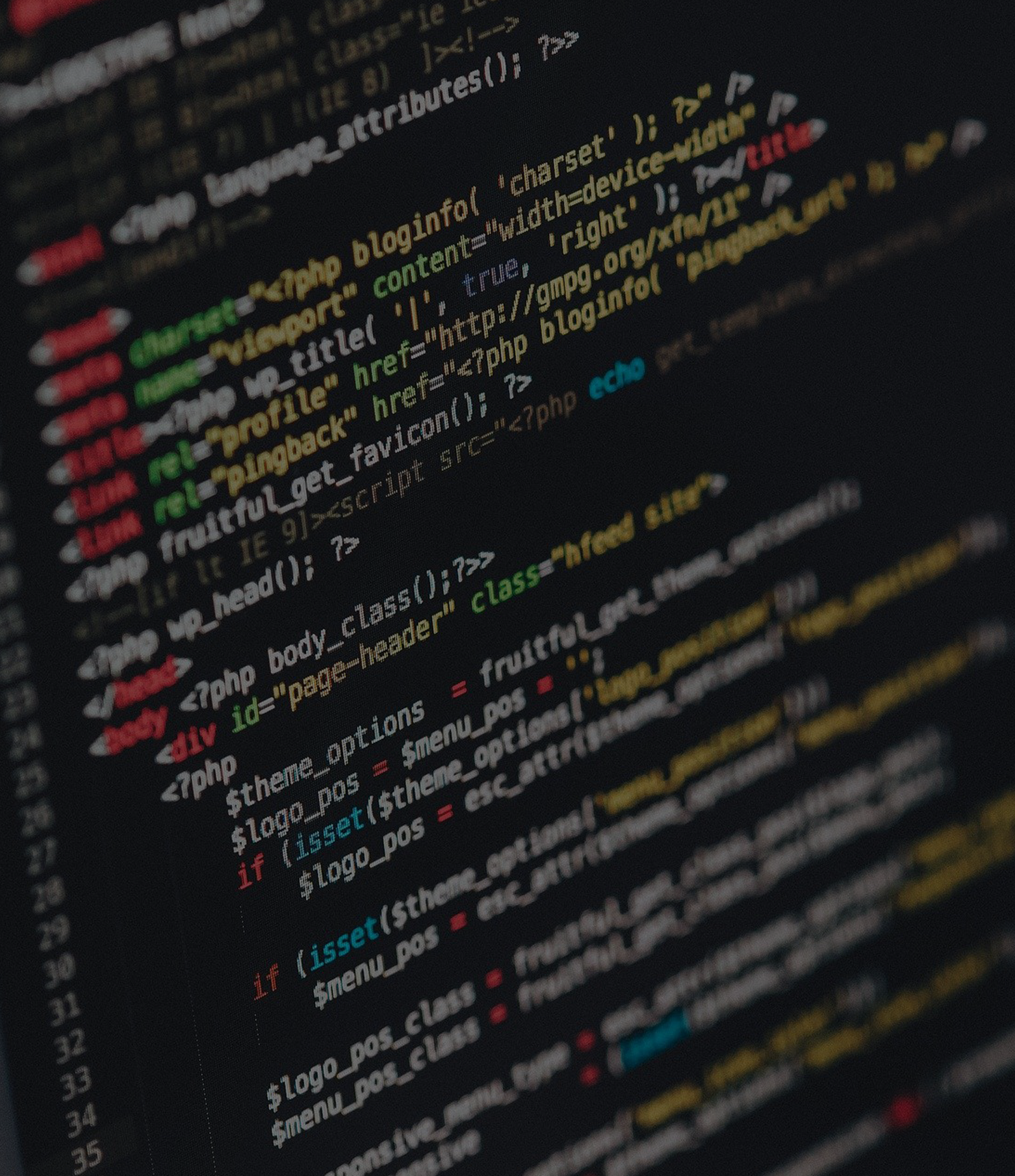 Website & Software Development